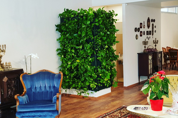 קיר צמחים ירוק בסטודיו לעיצוב